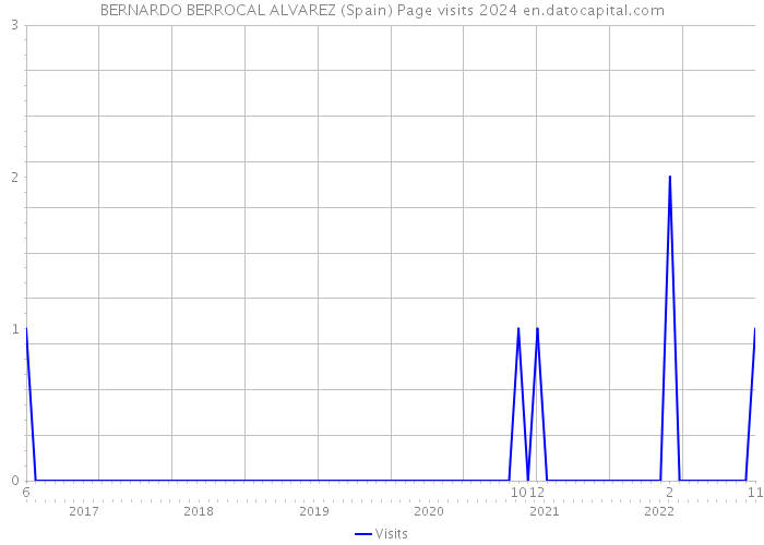BERNARDO BERROCAL ALVAREZ (Spain) Page visits 2024 