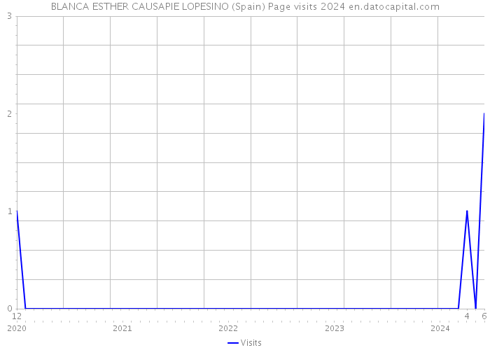 BLANCA ESTHER CAUSAPIE LOPESINO (Spain) Page visits 2024 