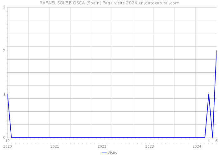 RAFAEL SOLE BIOSCA (Spain) Page visits 2024 