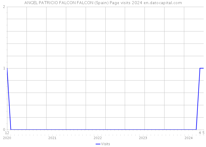 ANGEL PATRICIO FALCON FALCON (Spain) Page visits 2024 