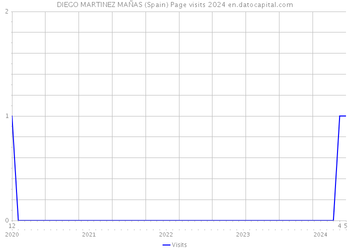 DIEGO MARTINEZ MAÑAS (Spain) Page visits 2024 
