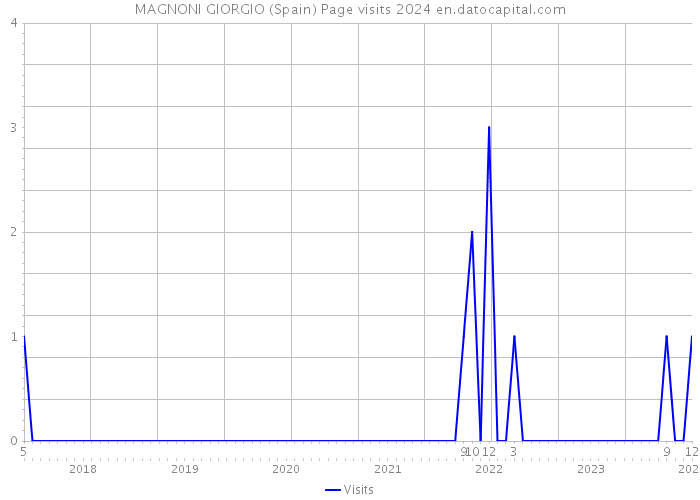 MAGNONI GIORGIO (Spain) Page visits 2024 