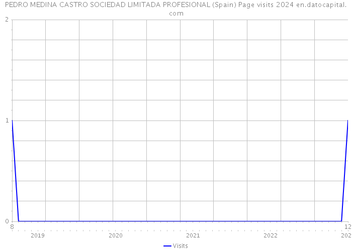 PEDRO MEDINA CASTRO SOCIEDAD LIMITADA PROFESIONAL (Spain) Page visits 2024 