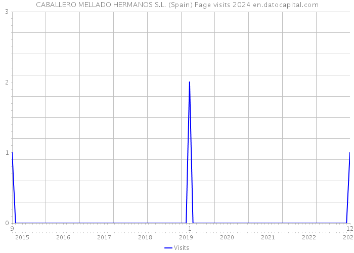 CABALLERO MELLADO HERMANOS S.L. (Spain) Page visits 2024 