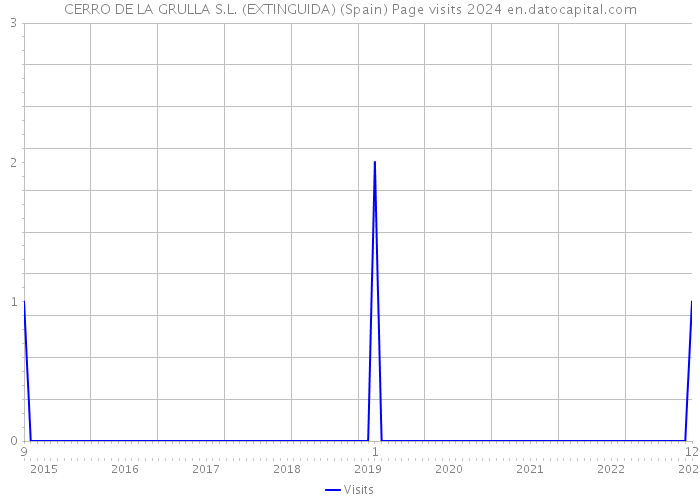 CERRO DE LA GRULLA S.L. (EXTINGUIDA) (Spain) Page visits 2024 