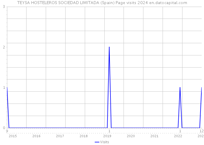 TEYSA HOSTELEROS SOCIEDAD LIMITADA (Spain) Page visits 2024 
