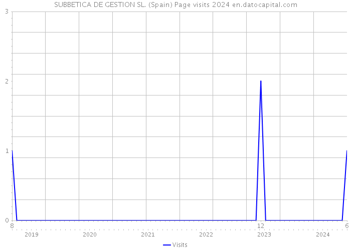 SUBBETICA DE GESTION SL. (Spain) Page visits 2024 