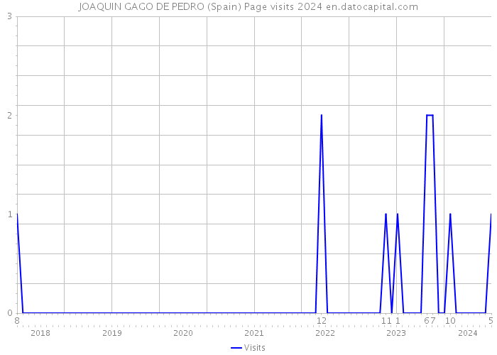 JOAQUIN GAGO DE PEDRO (Spain) Page visits 2024 