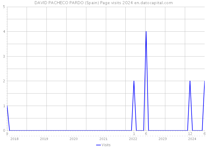 DAVID PACHECO PARDO (Spain) Page visits 2024 
