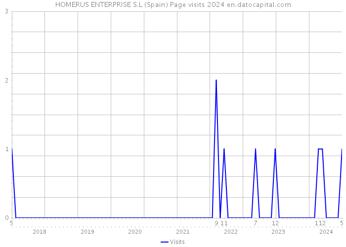 HOMERUS ENTERPRISE S.L (Spain) Page visits 2024 