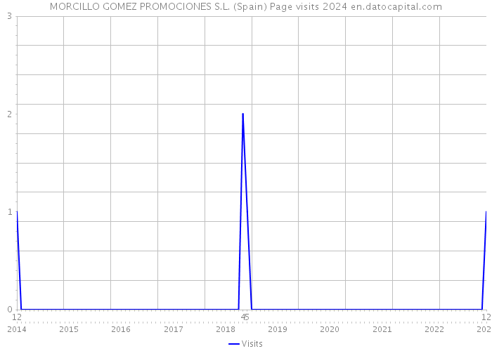 MORCILLO GOMEZ PROMOCIONES S.L. (Spain) Page visits 2024 