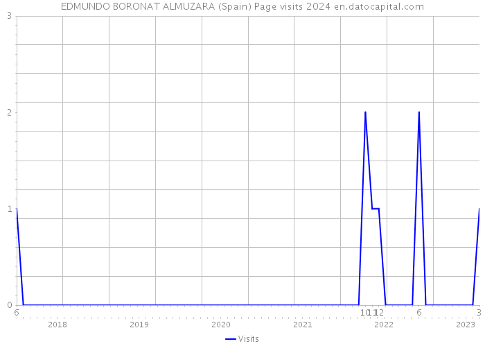 EDMUNDO BORONAT ALMUZARA (Spain) Page visits 2024 