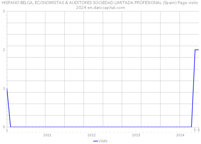 HISPANO BELGA, ECONOMISTAS & AUDITORES SOCIEDAD LIMITADA PROFESIONAL (Spain) Page visits 2024 