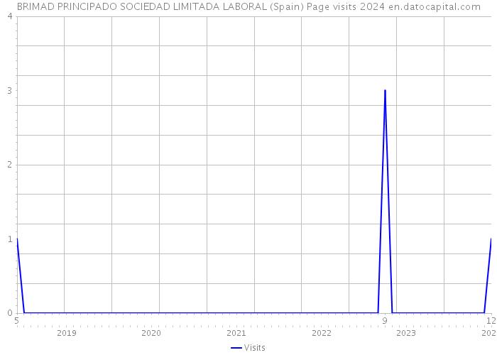 BRIMAD PRINCIPADO SOCIEDAD LIMITADA LABORAL (Spain) Page visits 2024 