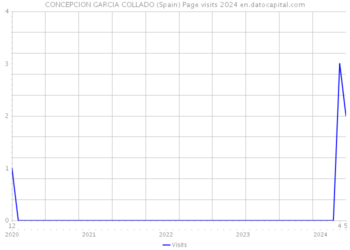 CONCEPCION GARCIA COLLADO (Spain) Page visits 2024 