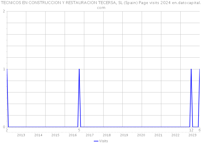 TECNICOS EN CONSTRUCCION Y RESTAURACION TECERSA, SL (Spain) Page visits 2024 