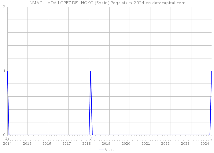 INMACULADA LOPEZ DEL HOYO (Spain) Page visits 2024 