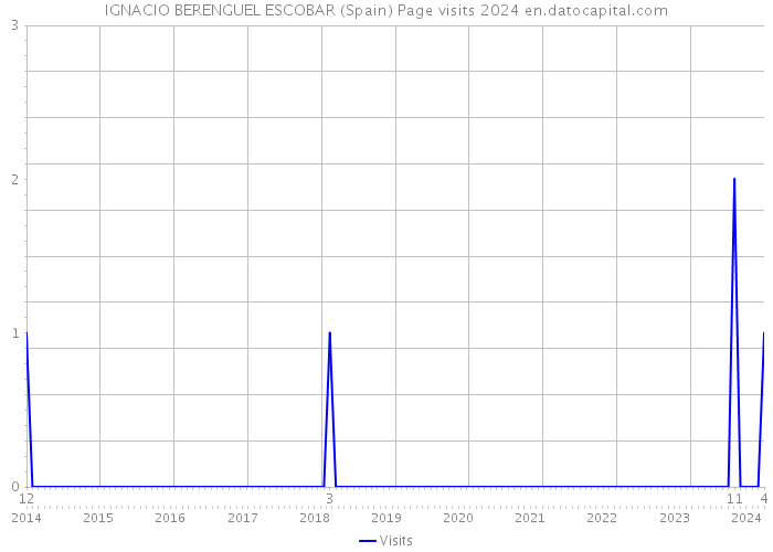 IGNACIO BERENGUEL ESCOBAR (Spain) Page visits 2024 