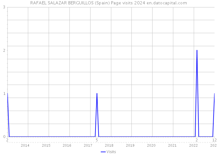 RAFAEL SALAZAR BERGUILLOS (Spain) Page visits 2024 