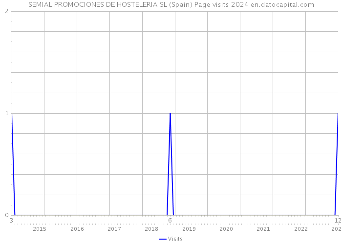 SEMIAL PROMOCIONES DE HOSTELERIA SL (Spain) Page visits 2024 