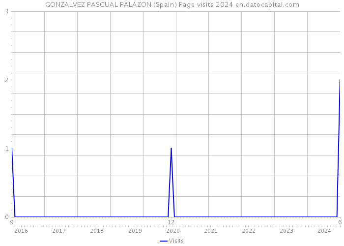 GONZALVEZ PASCUAL PALAZON (Spain) Page visits 2024 
