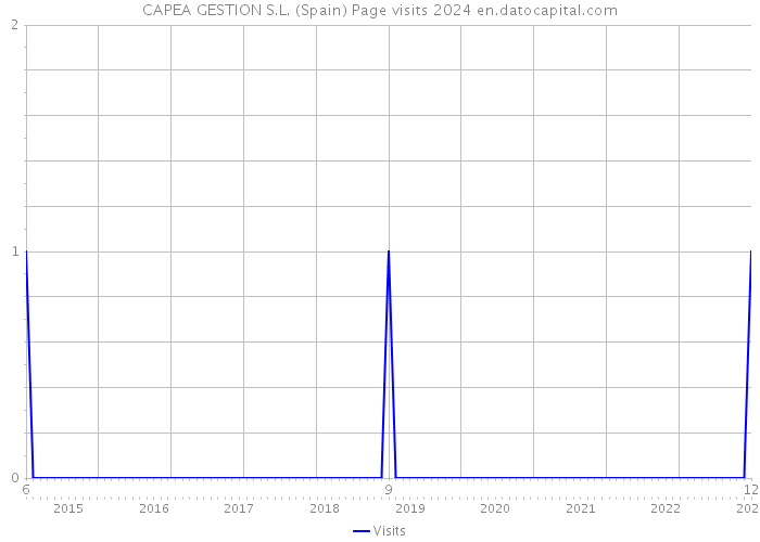 CAPEA GESTION S.L. (Spain) Page visits 2024 