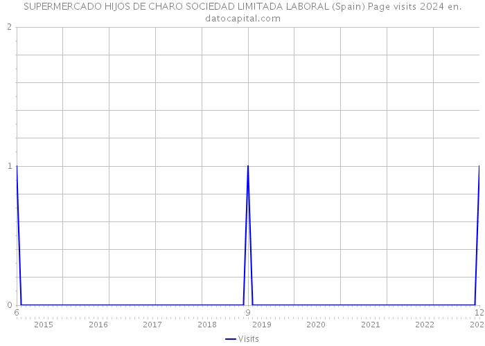 SUPERMERCADO HIJOS DE CHARO SOCIEDAD LIMITADA LABORAL (Spain) Page visits 2024 