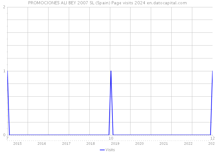 PROMOCIONES ALI BEY 2007 SL (Spain) Page visits 2024 