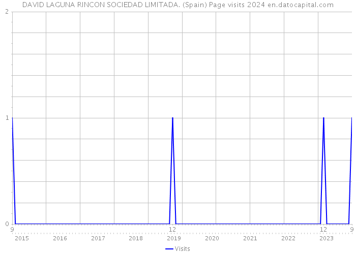 DAVID LAGUNA RINCON SOCIEDAD LIMITADA. (Spain) Page visits 2024 