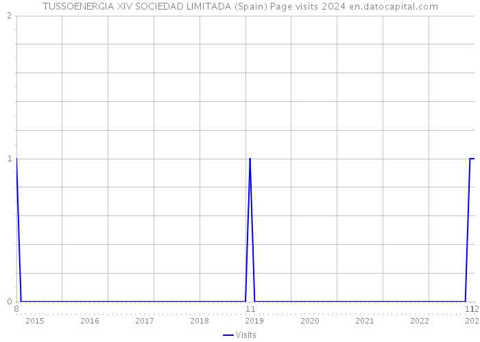 TUSSOENERGIA XIV SOCIEDAD LIMITADA (Spain) Page visits 2024 