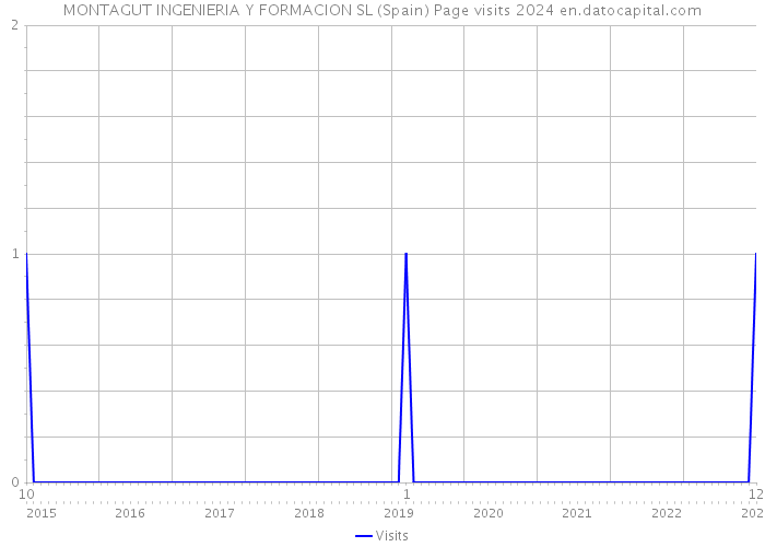 MONTAGUT INGENIERIA Y FORMACION SL (Spain) Page visits 2024 