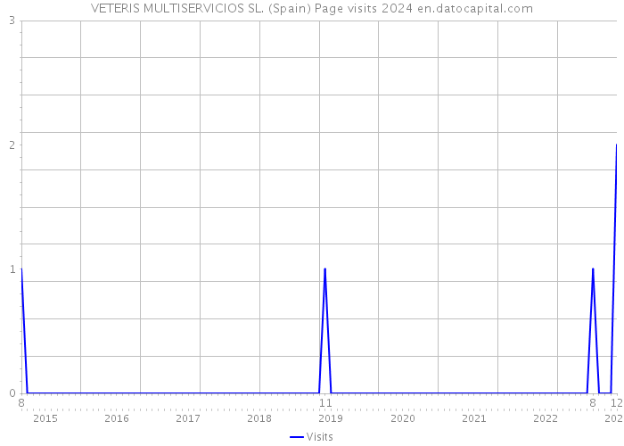 VETERIS MULTISERVICIOS SL. (Spain) Page visits 2024 