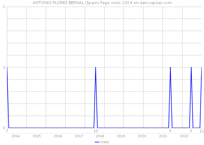 ANTONIO FLORES BERNAL (Spain) Page visits 2024 