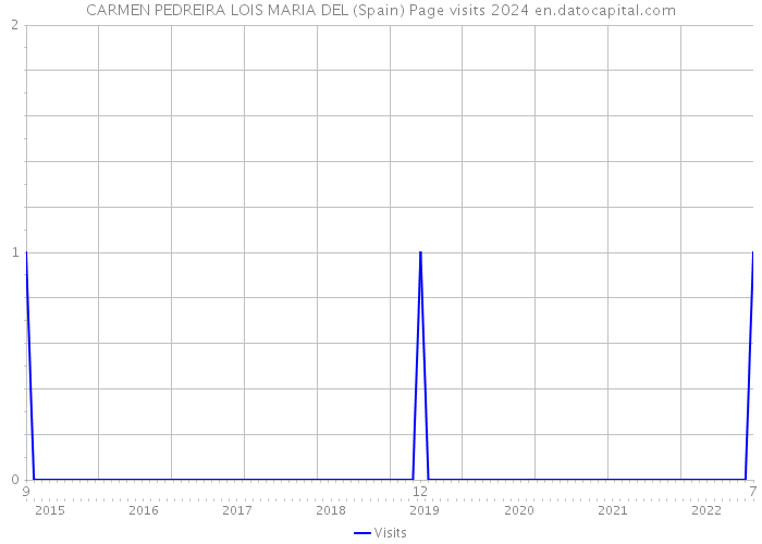 CARMEN PEDREIRA LOIS MARIA DEL (Spain) Page visits 2024 