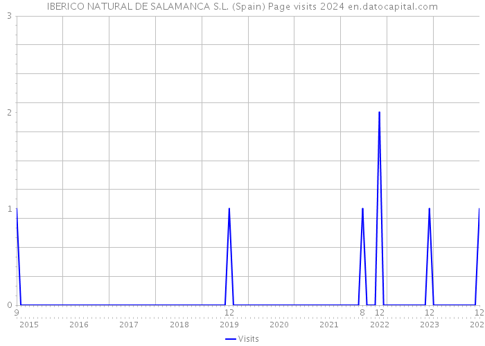 IBERICO NATURAL DE SALAMANCA S.L. (Spain) Page visits 2024 