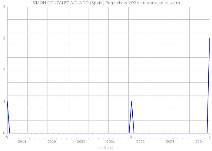 SIMON GONZALEZ AGUADO (Spain) Page visits 2024 