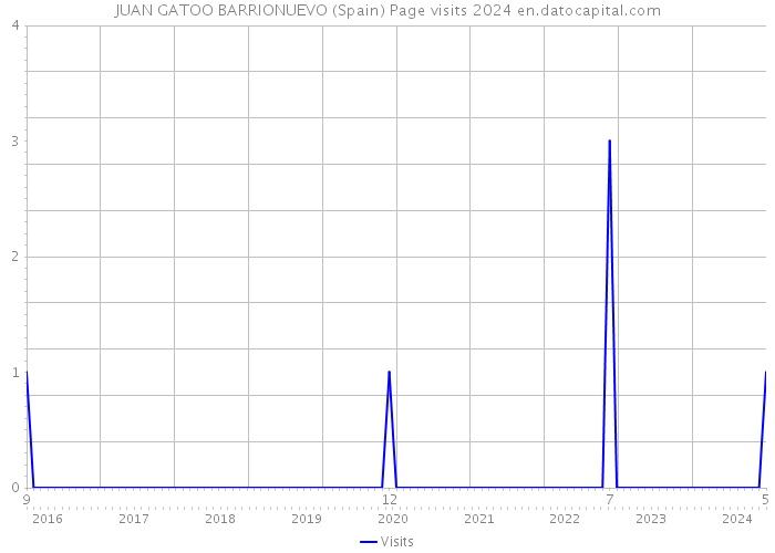 JUAN GATOO BARRIONUEVO (Spain) Page visits 2024 