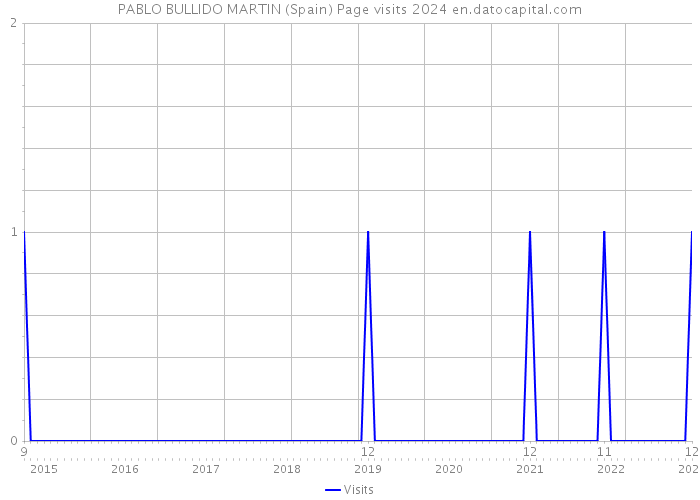 PABLO BULLIDO MARTIN (Spain) Page visits 2024 