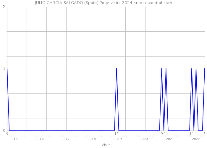 JULIO GARCIA SALGADO (Spain) Page visits 2024 