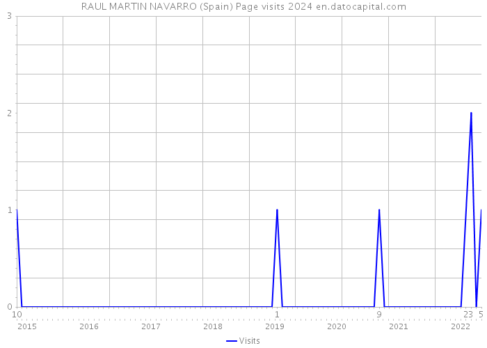 RAUL MARTIN NAVARRO (Spain) Page visits 2024 