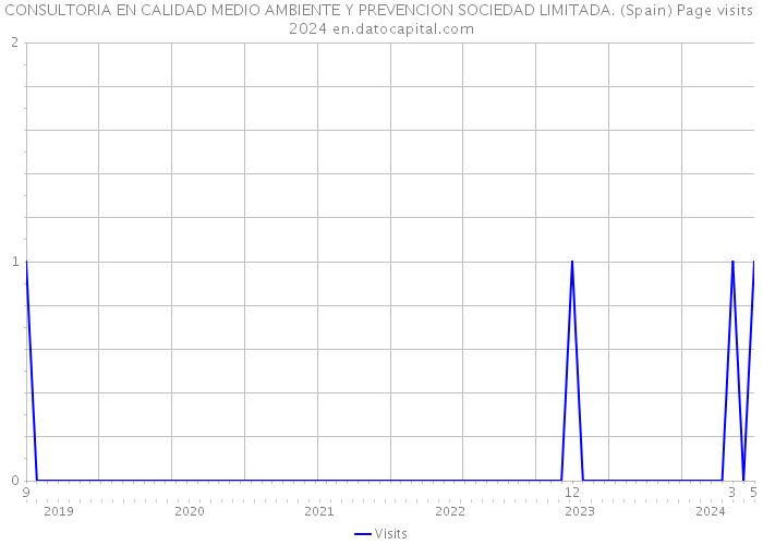 CONSULTORIA EN CALIDAD MEDIO AMBIENTE Y PREVENCION SOCIEDAD LIMITADA. (Spain) Page visits 2024 