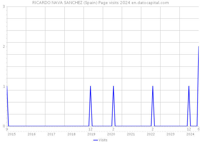 RICARDO NAVA SANCHEZ (Spain) Page visits 2024 