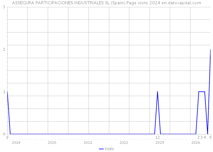 ASSEGURA PARTICIPACIONES INDUSTRIALES SL (Spain) Page visits 2024 