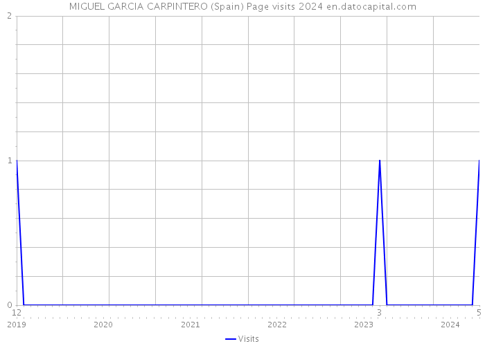 MIGUEL GARCIA CARPINTERO (Spain) Page visits 2024 