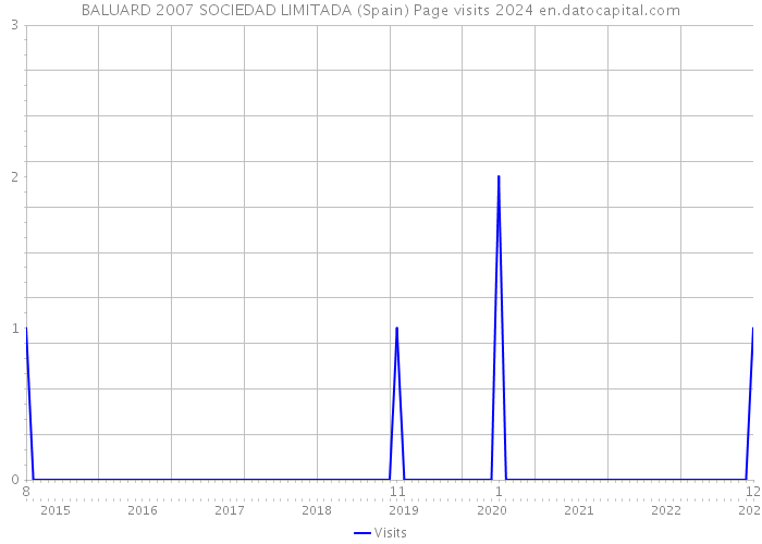 BALUARD 2007 SOCIEDAD LIMITADA (Spain) Page visits 2024 