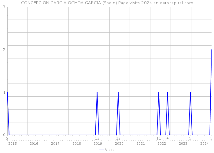 CONCEPCION GARCIA OCHOA GARCIA (Spain) Page visits 2024 