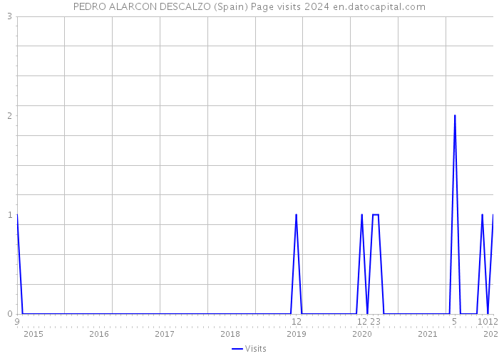 PEDRO ALARCON DESCALZO (Spain) Page visits 2024 