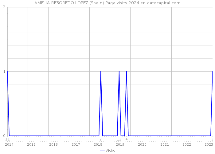 AMELIA REBOREDO LOPEZ (Spain) Page visits 2024 