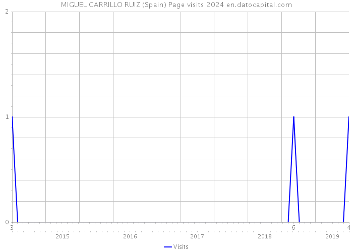 MIGUEL CARRILLO RUIZ (Spain) Page visits 2024 
