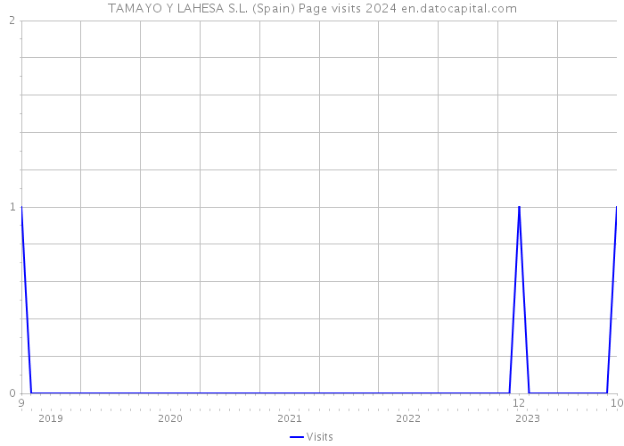 TAMAYO Y LAHESA S.L. (Spain) Page visits 2024 